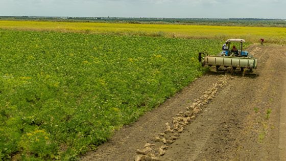 تقرير بريطاني حول الأمن الغذائي يسلط الضوء على العلاقات الفلاحية مع المغرب