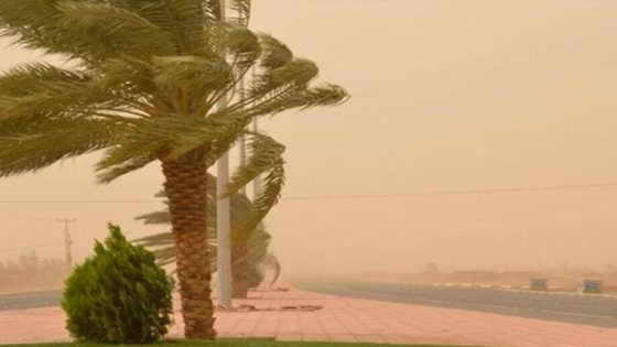 نشرة إنذارية.. رياح قوية مع تطاير الغبار بعدة مناطق