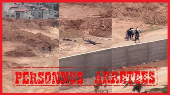 أكادير.. توقيف 5 أشخاص للاشتباه في تورطهم في الضرب والجرح