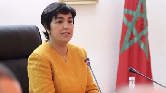 العدوي تتباحث مع رئيس لجنة الحسابات العامة في الجمعية الوطنية لزامبيا