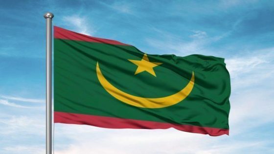 موريتانيا تعتمد التأشيرة الإلكترونية