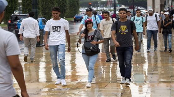 عيد الشباب: دعم المبادرات الشبابية حجر الزاوية لبناء اقتصاد الغد