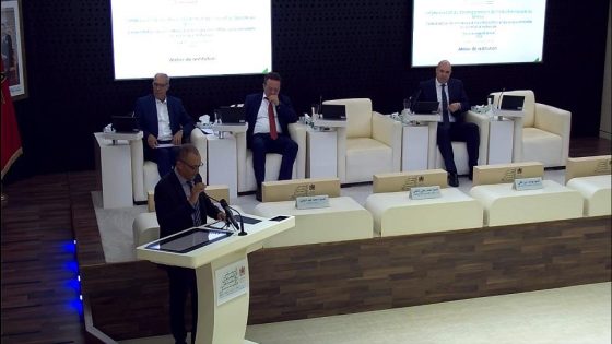 المجلس الاقتصادي والاجتماعي والبيئي يوصي ببلورة إطار قانوني يلائم متطلبات قطاع صناعة السفن