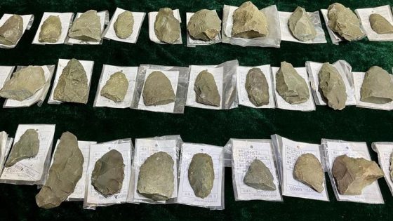 (241113) -- HARBIN, Nov. 13, 2024 (Xinhua) -- This photo taken on Nov. 7, 2024 shows stone artifacts unearthed in the Shiren cave relic site in Hailin City, northeast China's Heilongjiang Province. TO GO WITH "More than 90,000 Neolithic stone artifacts unearthed in northeast China" (Xinhua)