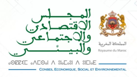المجلس الاقتصادي والاجتماعي والبيئي يطلق شخصيته الافتراضية الأولى “رؤية”
