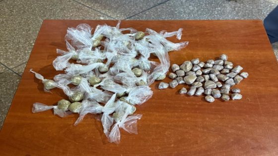 الدرك الملكي بالرشيدية يشن حملة واسعة ضد مروجي المخدرات خلال شهر رمضان