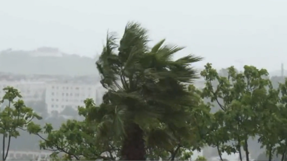 نشرة إنذارية: هبات رياح قوية وتساقطات ثلجية بعدد من مناطق المغرب