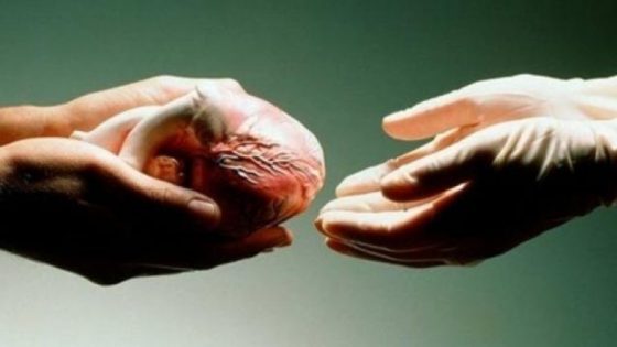 تقرير النيابة العامة: تسجيل 226 طلباً للتبرع بالأعضاء سنة 2023