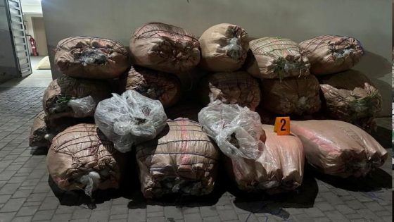 توقيف ثلاثة أشخاص بخريبكة وسطات متورطين في ترويج المخدرات والمؤثرات العقلية