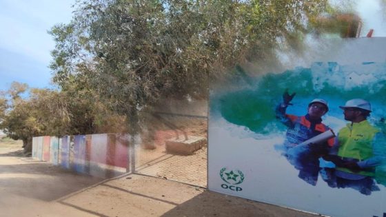 الرابطة الوطنية للمقاولين الشباب بأولاد سلمان تطالب بإدماج المقاولات المحلية في مشاريع المحطة الحرارية بآسفي