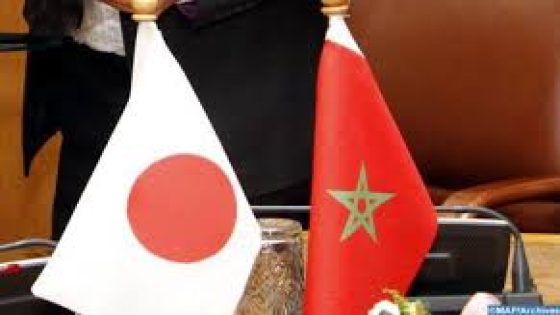 المغرب واليابان يبحثان سبل تعزيز التعاون في مجال الصيد البحري