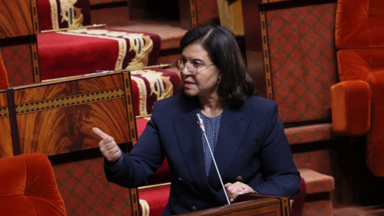 الدريوش: رقمنة المزادات شملت 45 سوقا للسمك بالجملة باستثمار بلغ 34 مليون درهم