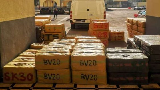 إحباط محاولة تهريب 3 أطنان من الشيرا بسواحل الجديدة