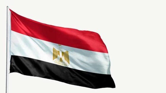 مصر توقف أكثر من 200 ناشط أجنبي