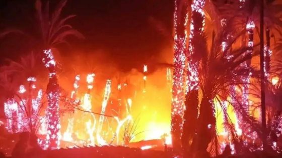 إقليم طاطا.. حريق بواحة “أفرا” يتسبب في إتلاف أزيد من 3 هكتارات من النخيل