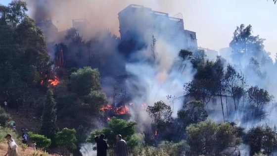 طنجة.. اندلاع حريق مهول بالقرب من محطة القطار