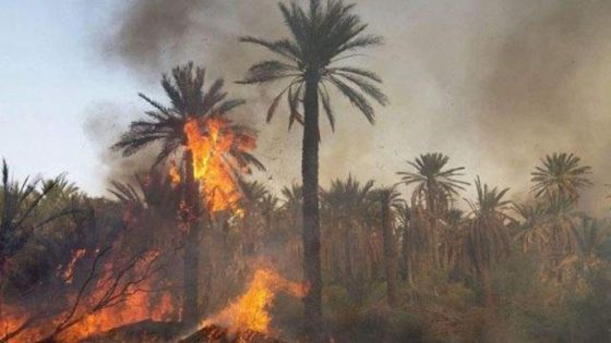 إقليم اشتوكة أيت باها .. حريق بواحة “تاركانتوشكا” يتسبب في إتلاف أزيد من 6 هكتارات من النخيل