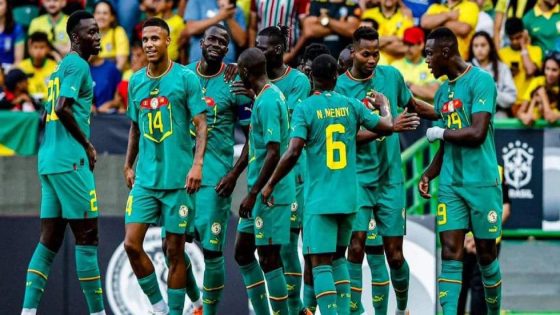 الشان .. السودان والسنغال إلى ربع النهائي بعد تعادل سلبي