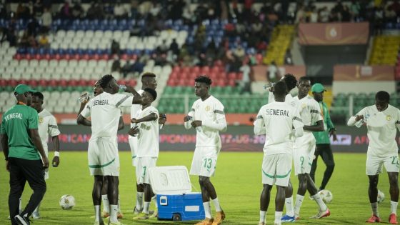 كأس الأمم الأفريقية للمحليين 2024.. المنتخب السنغالي يقتنص فوزا ثمينا على نيجيريا