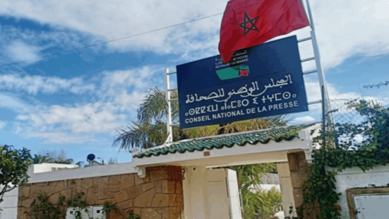 تعديل قانون الصحافة.. المجلس الوطني لحقوق الإنسان يقدم رؤية متكاملة لتعزيز التنظيم الذاتي