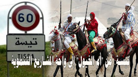 تيسة: من “أم الخيول” إلى واحة المشاريع التنموية
