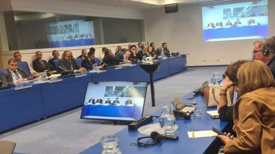 فرحان يؤكد مجددا بفيينا تمسك المغرب، تحت القيادة المتبصرة لجلالة الملك، بمبادئ التعاون جنوب-جنوب والتضامن الإفريقي