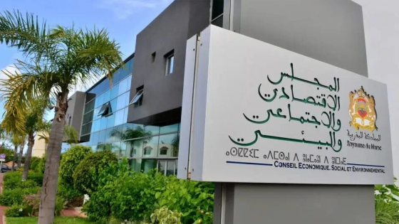 بلاغ للمجلس الاقتصادي والاجتماعي حول “استراتيجية وطنية استعجالية لتعزيز البحث والابتكار”
