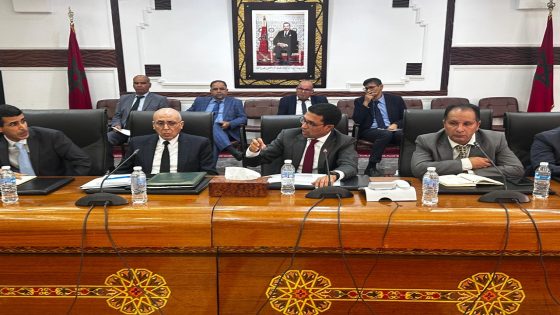 تاونات..اللجنة الإقليمية للتنمية البشرية تصادق على دفعة جديدة من مشاريع الشباب ودعم الجمعيات المسيرة للمراكز الاجتماعية