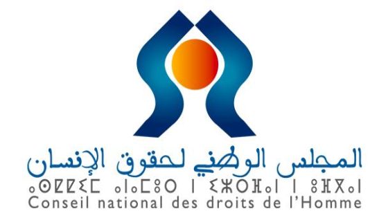 المجلس الوطني لحقوق الإنسان يطلق حملة وطنية لمناهضة العنف الرقمي ضد النساء والفتيات