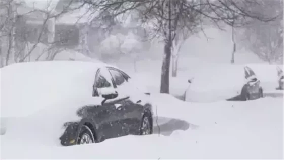 مقتل 7 أشخاص في عاصفة ثلجية تضرب أمريكا