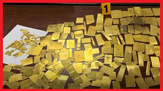 إحباط محاولة تهريب أزيد من 13 كيلوغراماً من سبائك الذهب بميناء بني أنصار بالناظور