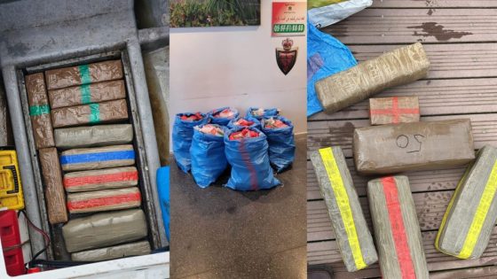 إجهاض محاولة تهريب 503 كيلوغرامات من الحشيش بميناء طنجة