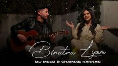 إبراهيم وهبي: عازف القيثارة الذي ينطق إبداعاً في صمت