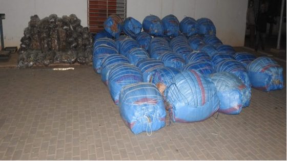 تنسيق أمني يجهض محاولات ترويج أطنان من المخدرات في أربع مدن مغربية