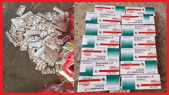 إجهاض محاولة لتهريب 7486 قرصا مخدرا بالناظور