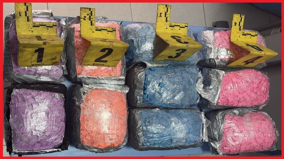 توقيف خمسيني بطنجة المتوسط وبحوزته 19 ألف قرص مهلوس قادمة من أوروبا