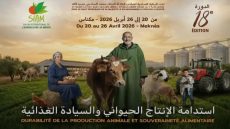 شركة “PR Media”.. هندسة تواصلية محكمة ترتقي بالنجاح الإعلامي للمعرض الدولي للفلاحة