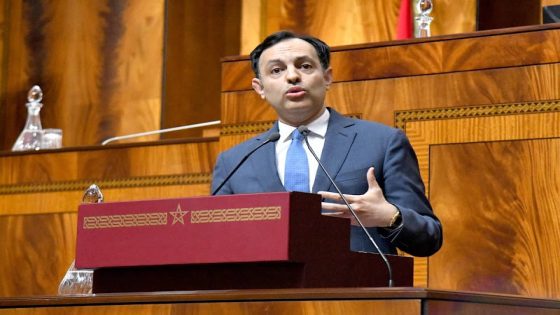 السكوري: انطلاق التكوين لفائدة 45 ألف مستفيدة ومستفيد في إطار برنامج التدرج المهني