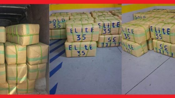 إحباط تهريب 2960 كيلوغراما من مخدر الشيرا