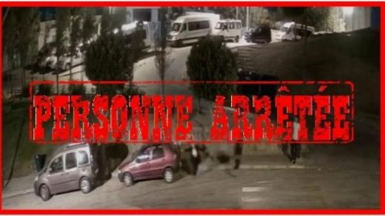 طنجة.. توقيف شخص يشتبه تورطه في سرقة هاتف فتاة بالعنف