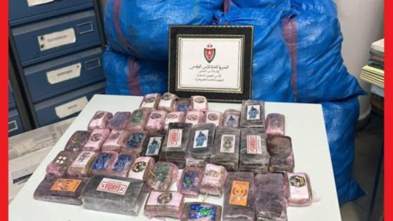 الكركارات: إحباط محاولة تهريب 460 كيلوغراما من مخدر “الشيرا”