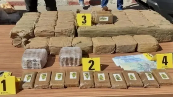 إحباط تهريب 350 كيلوغراما من الشيرا بميناء طنجة المتوسط