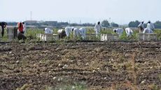 إيطاليا.. مصرع عامل زراعي مغربي وإصابة ثمانية آخرين في حادثة سير