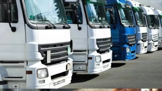 الدعم الاستثنائي المباشر لفائدة مهنيي النقل الطرقي.. إطلاق حصة إضافية جديدة تغطي الفترة من فاتح إلى 15 غشت الجاري