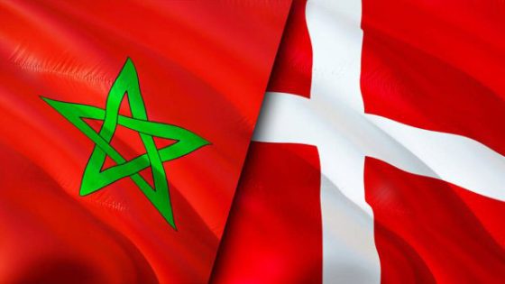 الدنمارك-المغرب.. دينامية مطردة تعزز إرساء شراكة استراتيجية