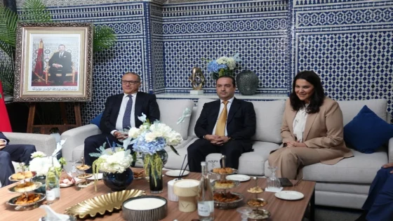 مشاورات تشكيل الحكومة: شوكي يؤكد أهمية لقائه بالمنصوري لاستشراف آفاق المرحلة المقبلة