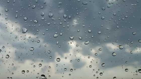 تساقطات مطرية