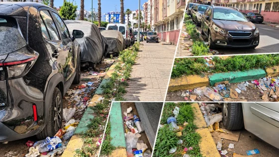 الدشيرة الجهادية.. سكان حي الإلهام يطالبون بانتظام جمع النفايات