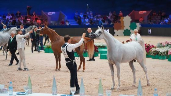 الذكاء الاصطناعي والمراقبة الذكية للخيل في واجهة معرض الفرس بالجديدة